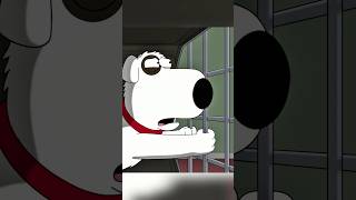 Stewie Sold Brian Into TikTok Slavery familyguy funny shorts [upl. by Catrina]