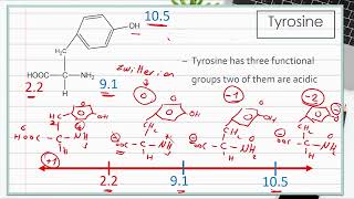 The Charge and PI of Amino Acid Tyrosine learnchemi [upl. by Bonnes]