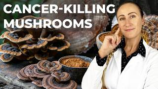 Mushrooms That Kill Cancer [upl. by Dyob404]