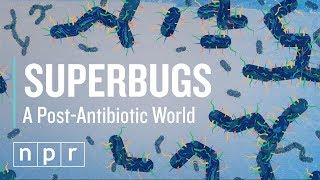 How Superbugs Could Mean The End Of Antibiotics  Lets Talk  NPR [upl. by Sine467]