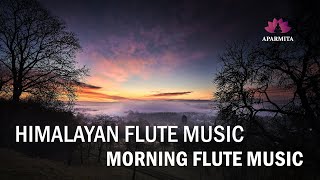 Morning Flute Music  Himalayan Flute Music  Meditation Music  बाँसुरी Aparmita Ep11 [upl. by Ahseki83]