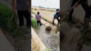 Irrigation cement ditch dredging process [upl. by Akirahc]