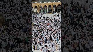 Kaaba live Today  12 November 2024  shorts kaaba makkah [upl. by Lilyan333]