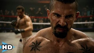 Amazing Fight scenes in Movies Top 5 [upl. by Asial]