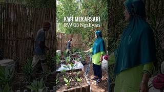 Penataan Taman Toga RW 03 persiapan Lomba PKK Tingkat Kecamatan Ngaliyan [upl. by Atnicaj8]