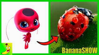 MIRACULOUS LADYBUG Kwamis In Real Life 🍌 bananashow6730 [upl. by Merrily]