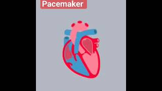 what is pacemaker pacemaker pacing device [upl. by Forcier388]