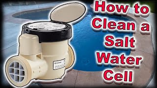 How To EASILY Clean A Salt Cell Chlorinator  Salt Water Generator Service [upl. by Schoof392]