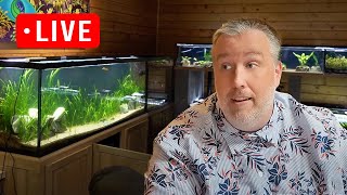 3 New Products at Aquarium CoOp Shopping Channel Live Stream [upl. by Attenehs]