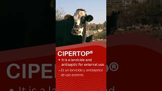 CIPERTOP LARVICIDA Y ANTISEPTICO [upl. by Bernardo]