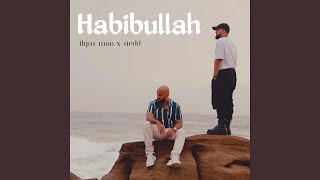 Habibullah feat Siedd [upl. by Elwaine]