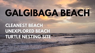 GALGIBAGA BEACH  CLEANEST BEACH OF GOA  UNEXPLORED BEACH OF GOA  TURTLE NESTING BEACH [upl. by Htnamas]