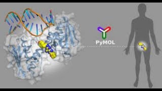 Drulito DrugLikeness SoftwarePhysicochemicalMolecular Properties of DrugsM DRUGSADMETLipinski [upl. by Aitnauq]