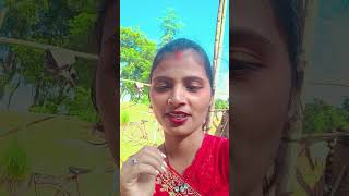 Malaria ke bare mein machar ke shortvideo mintifans comedy vairalvideo tereding song [upl. by Ojeillib]