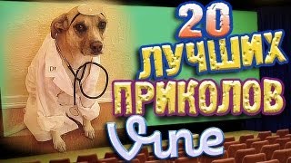 Лучшие Приколы Vine ВЫПУСК 27 17 [upl. by Atires]