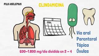 CLINDAMICINA  PARA QUÉ SIRVE [upl. by Denby877]