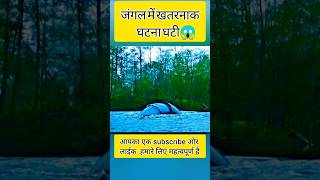 खतरनाक घटना घटी 😱 movieexplain edit shortvideos [upl. by Anehta]