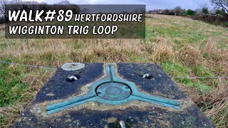 Walk 89  Hertfordshire  Wigginton Trig Loop [upl. by Akinit]