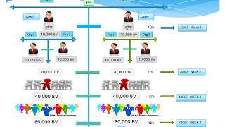 mi lifestyle global marketing pvt ltd plan [upl. by Ireva]