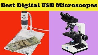 Best 5 Digital USB Microscopes 2020 On Amazon [upl. by Atnom507]