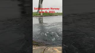 Saltstraumen Norway 🇳🇴 [upl. by Shanley65]