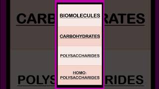 Carbohydrates Biomolecules Biochemistry shorts  Monosaccharides Disaccharides Polysaccharides [upl. by Estrella]