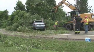 A look at storm damage in Arkwright [upl. by Kozloski]