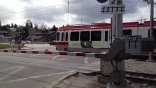 Calgary Transit CTrain Track Crossing at ErltonStampede station 25th Avenue SEHD [upl. by Elockin]