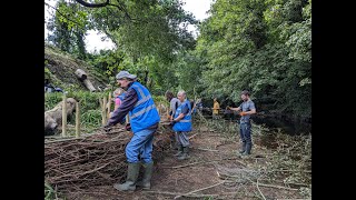 Mill River Conservation Group and Inishowen Rivers Trust building a river revetment [upl. by Tfat648]