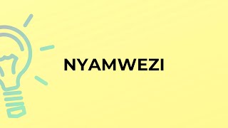 What is the meaning of the word NYAMWEZI [upl. by Nnylidnarb]