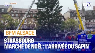 Le sapin arrive pour le marché de Noël à Strasbourg [upl. by Yelyr912]