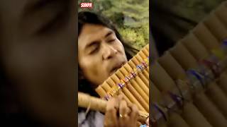 ❤️‍🩹Leo Rojas  Circle of Life 💝With Sunpa🇱🇰 [upl. by Cheston]