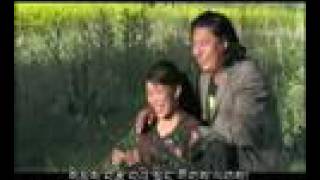 བརྩེ་སེམས་ཀྱི་མདུད་པ། LOVE SONG [upl. by Mazurek]