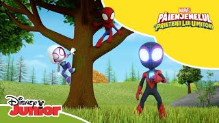 🕷 O spărtură în baraj  Păienjenelul Marvel și prietenii lui uimitori  Disney Junior România [upl. by Edie]