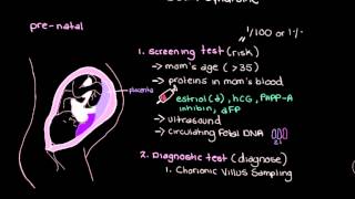 Khan Academy  Diagnosing and Managing Down Syndrome [upl. by Dlonyar]