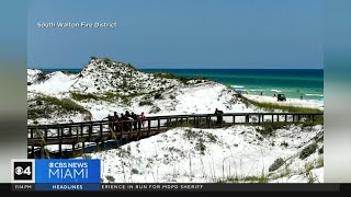 Florida beaches closed after shark attacks [upl. by Euqina239]