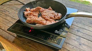 Duxtop Portable Induction Cooktop Review [upl. by Reitrac]