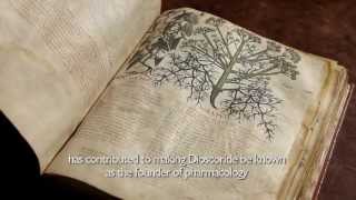 Aboca Museum  De materia medica  Il Dioscoride di Napoli  English  Full Video [upl. by Erodisi138]