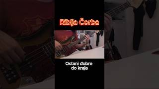 Riblja Čorba  Ostani đubre do kraja bass cover ribljacorba boracorba exyu exyumuzikaofficial [upl. by Kone509]