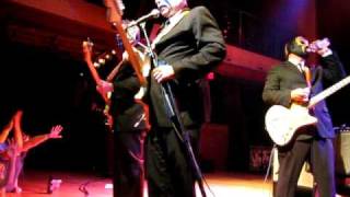 LOS STRAITJACKETS  TAILSPIN [upl. by Aratas]