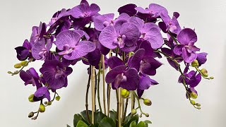 TUTORIAL  LARGE ORCHID ARRANGEMENT FOR CENTERPIECE [upl. by Chessy]