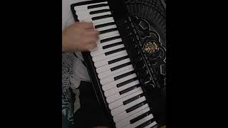 Srce je moje violinaHarmonika Lepa Lukić balkan music folk cover harmonika accordion [upl. by Cob10]