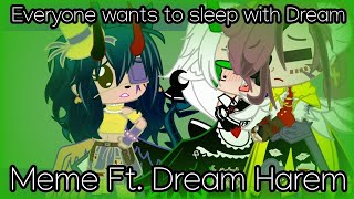 Everyone wants to sleep with DreamMemeFt Dream HaremTechnobladeMy AUGNDSMP [upl. by Nareht473]