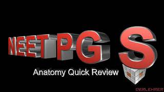 GENERAL EMBRYOLOGYGAMETOGENESISANATOMY QUICK REVIEW WITH MCQDR ROSE JOSE MD DNB [upl. by Fanni297]