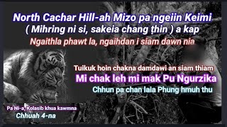 Mizo pain North Cachar Hillah Keimi Mihring sakeia a kap  Pa Nîa Kolasib kawmna  4 [upl. by Allista102]