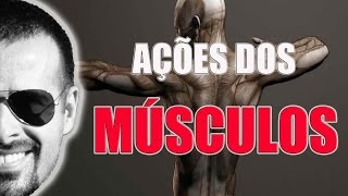 Sistema Muscular Ação dos músculos macete fácil de aprender  Anatomia Humana  VideoAula 023 [upl. by Anairda]