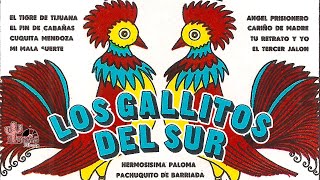 LOS GALLITOS DEL SUR  Angel Prisionero Album Completo [upl. by Ahseenal]