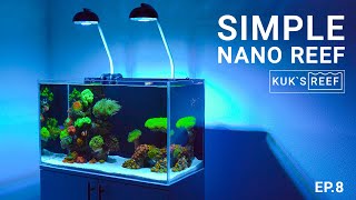 Морской аквариум 60 литров оборудование  Marine aquarium 60l [upl. by Eltsyrc]