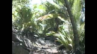 A trip to Devils Island Kourou French Guyana in 1995 [upl. by Xuagram]