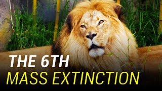 The 6th Mass Extinction Has Begun [upl. by Kerstin]